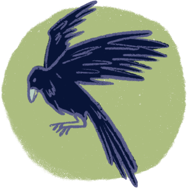 THE CROW